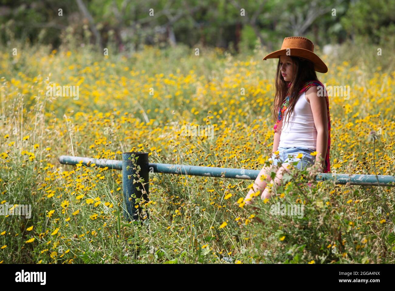 Pensive girl of 12 in a field Stock Photo