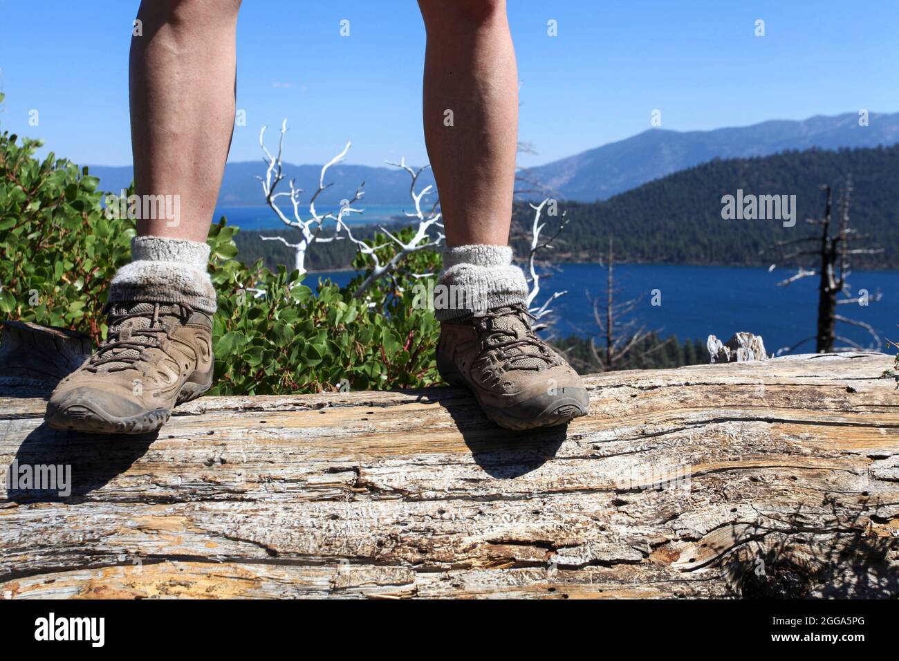 Female hiker in hiking boots at Mount Tallac trailhead overlooking lake Tahoe, California, USA Stock Photo