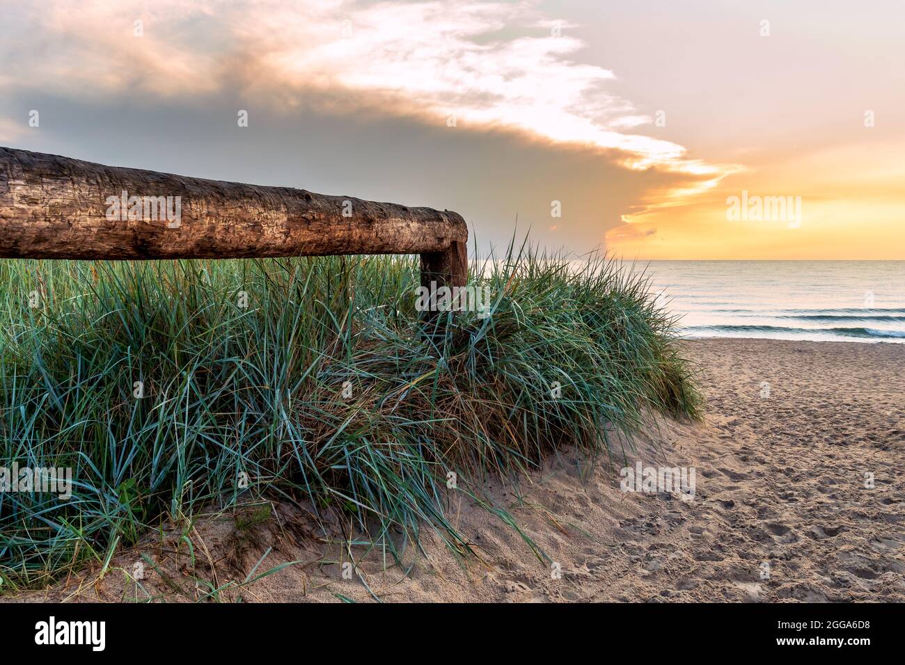 Entrance to the beach of the Baltic Sea along a wooden railing and tall grass, a sandy beach at sunset, Poland Baltic Sea, Darłowo Stock Photo