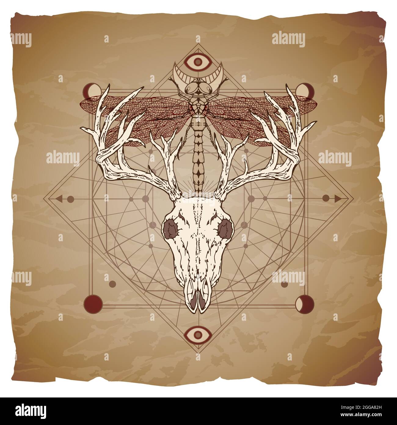 Vector illustration with hand drawn deer skull, dragonfly and Sacred geometric symbol on vintage paper background with torn edges. Stock Vector