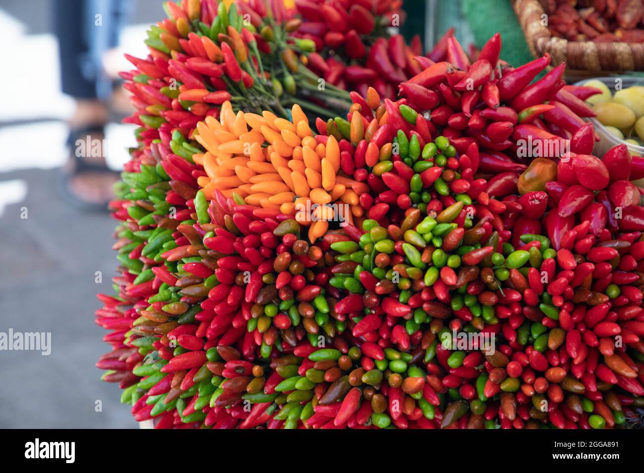 Hot peppers of various colors - healthy bio ingredients Stock Photo
