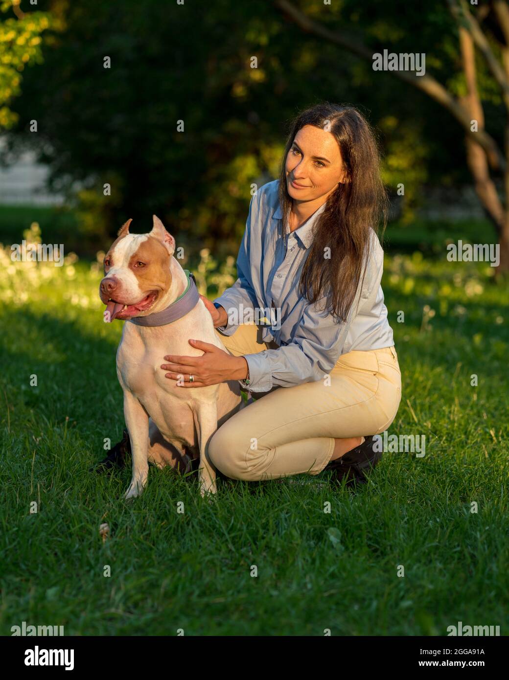 Woman sitting squatting and petting with happy american pitbull terrier at dawn Stock Photo