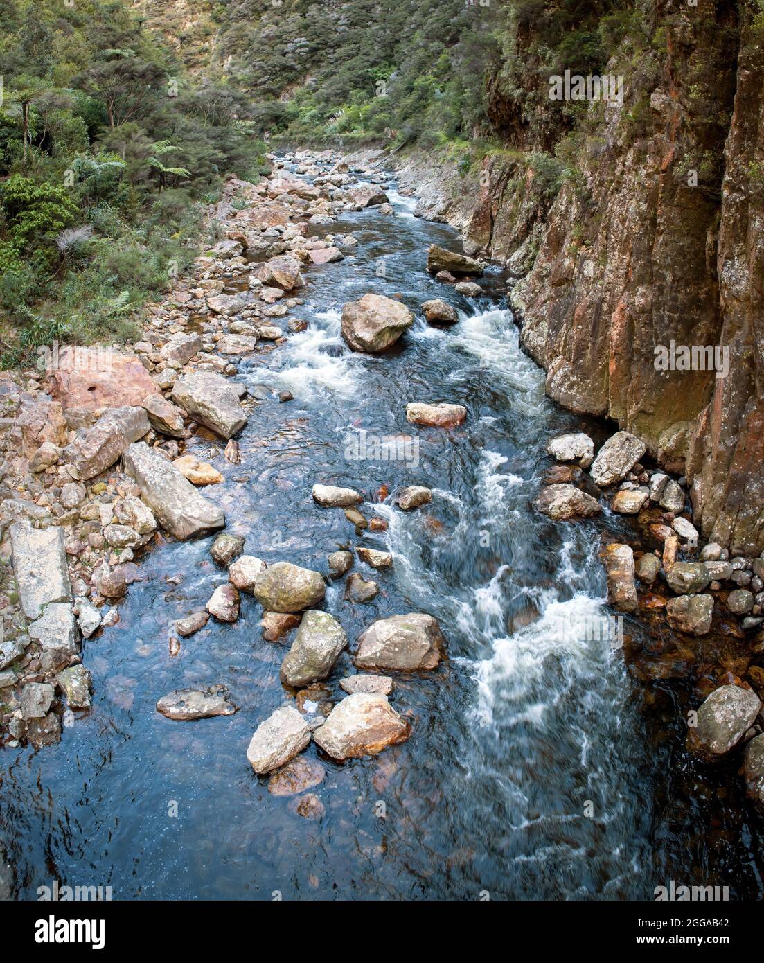 Ohinemuri River in Karangahake New Zealand Stock Photo Alamy