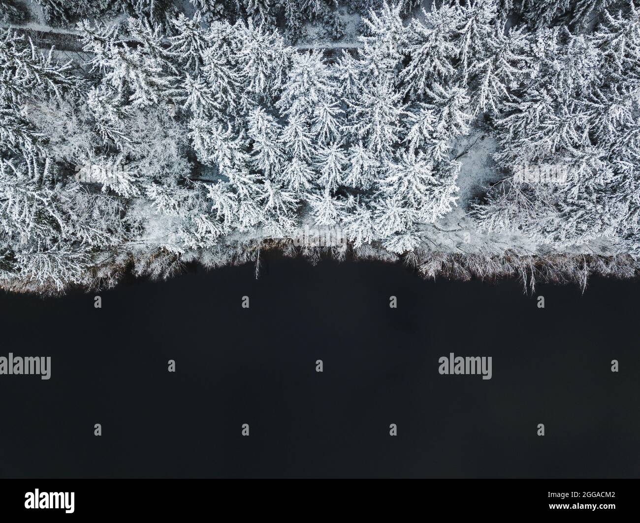 Black and white contrast at it's best Stock Photo - Alamy