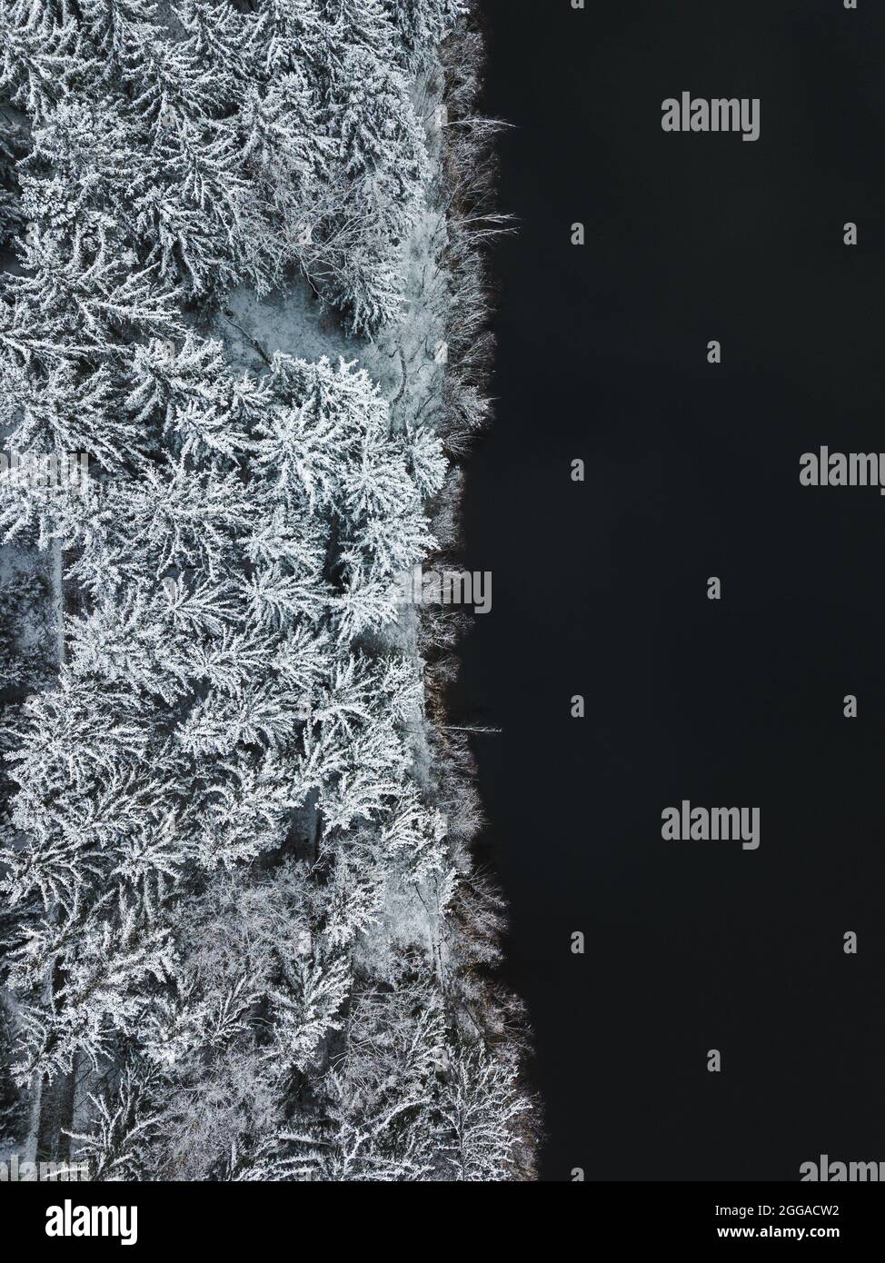 Black and white contrast at it's best Stock Photo - Alamy