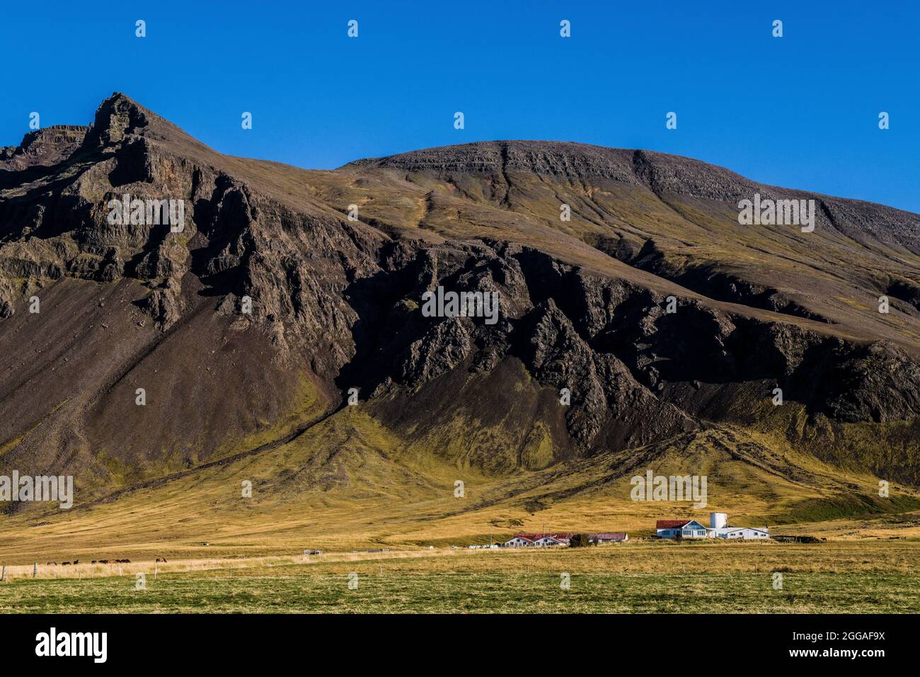 Icelandic Farmland Landscape just north of Reykjavic on the A1 or 1