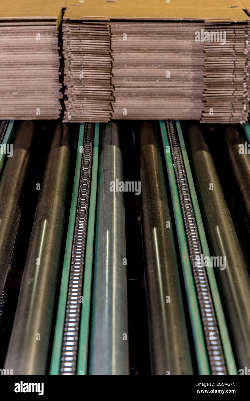 Conveyor belt automation at a corrugated cardboard manufacturing plant Stock Photo