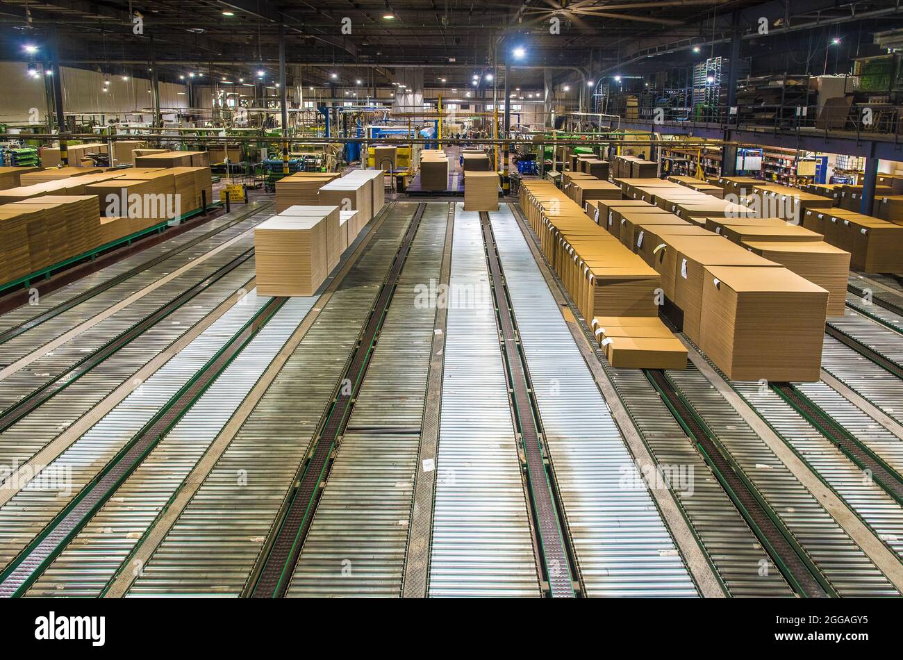 Conveyor belt automation at a corrugated cardboard manufacturing plant Stock Photo