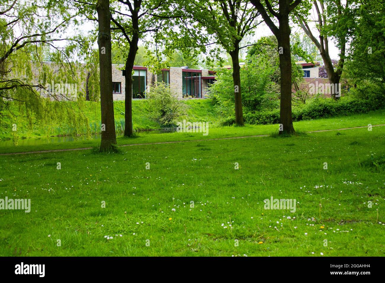 Beautiful scenery of a green park in summer Stock Photo - Alamy