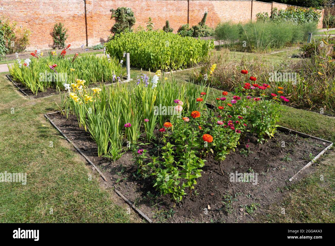 Flowerbeds with flowers blooming in the formal English garden at the Walled Gardens at Croome Court, Worcestershire, UK Stock Photo
