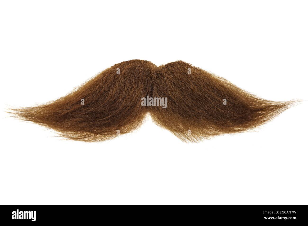 Curly brown mustache isolated on a white background Stock Photo