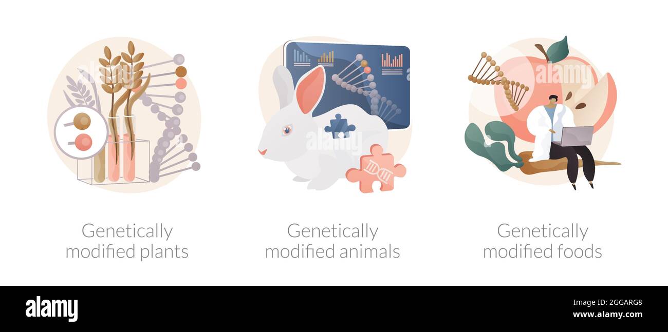 Biotechnology in agriculture abstract concept vector illustrations ...