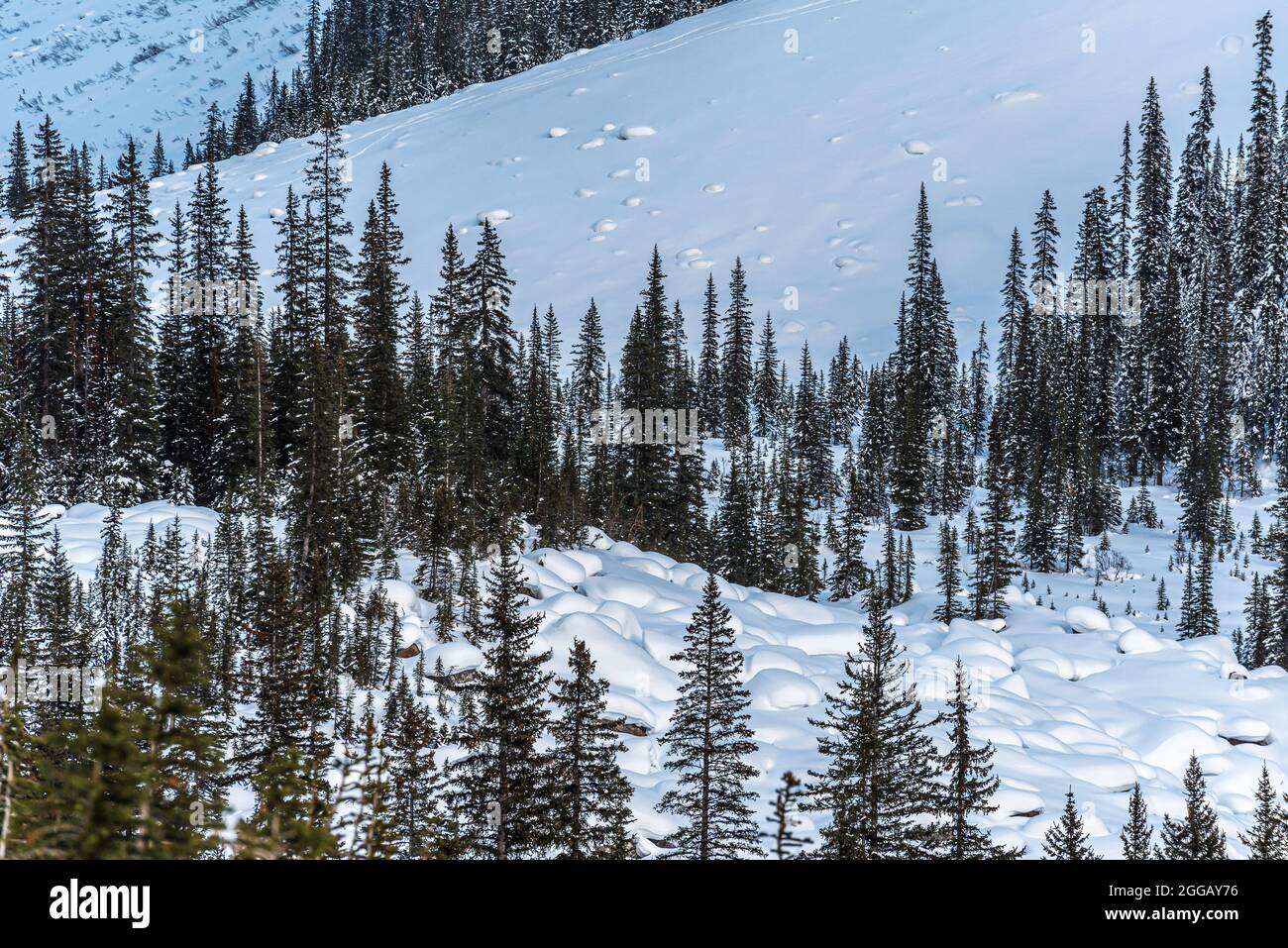 Lake Louise in Banff Park in winter time, Alberta, Canada Stock Photo ...