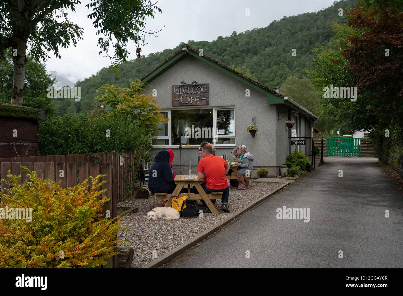 Exterior of Glencoe Cafe in Scottish Highlands. People and dog outside eating at benches. Cafe sign and drive leading to car park. Stock Photo