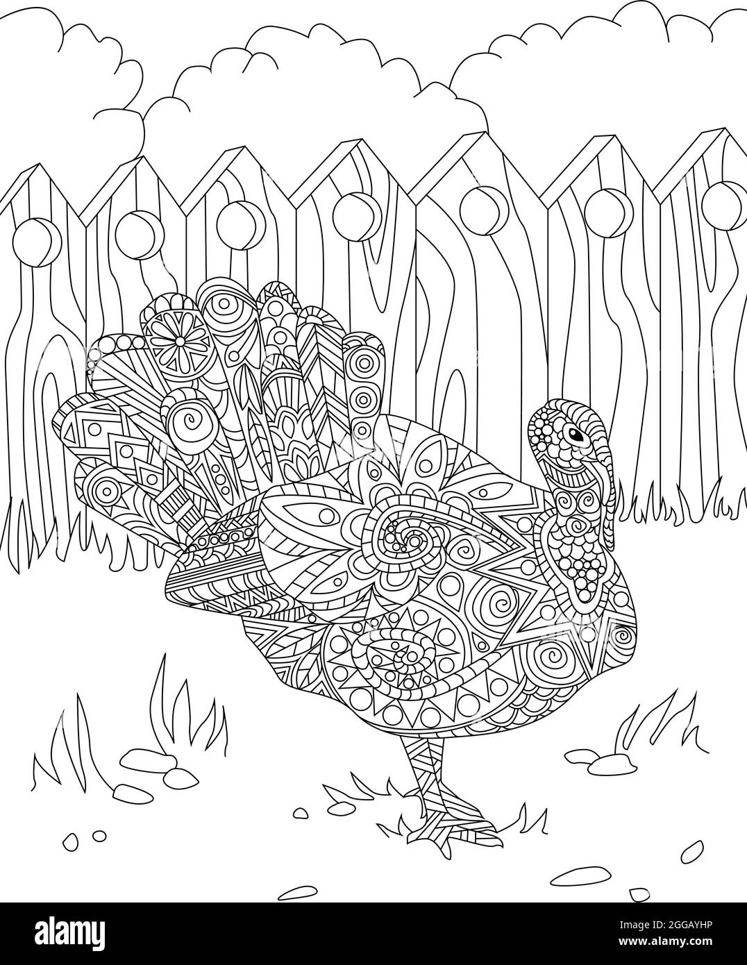 Line Drawing Of A Big Beautiful Peacock Bird With Opened Tail Standing Alone Looking Away Inside Fence. Large Pretty Chicken Specie Drawing Has Stock Vector