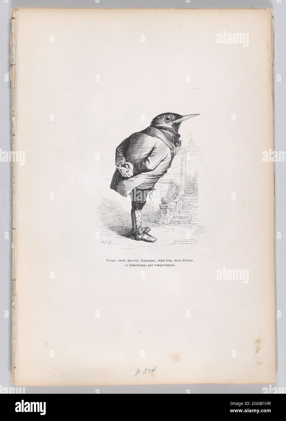 Old, broken, haggard, whimsical, yet good, yet dedicated, and domestic by temperament from Scenes from the Private and Public Life of Animals , ca. 1837-47. Stock Photo