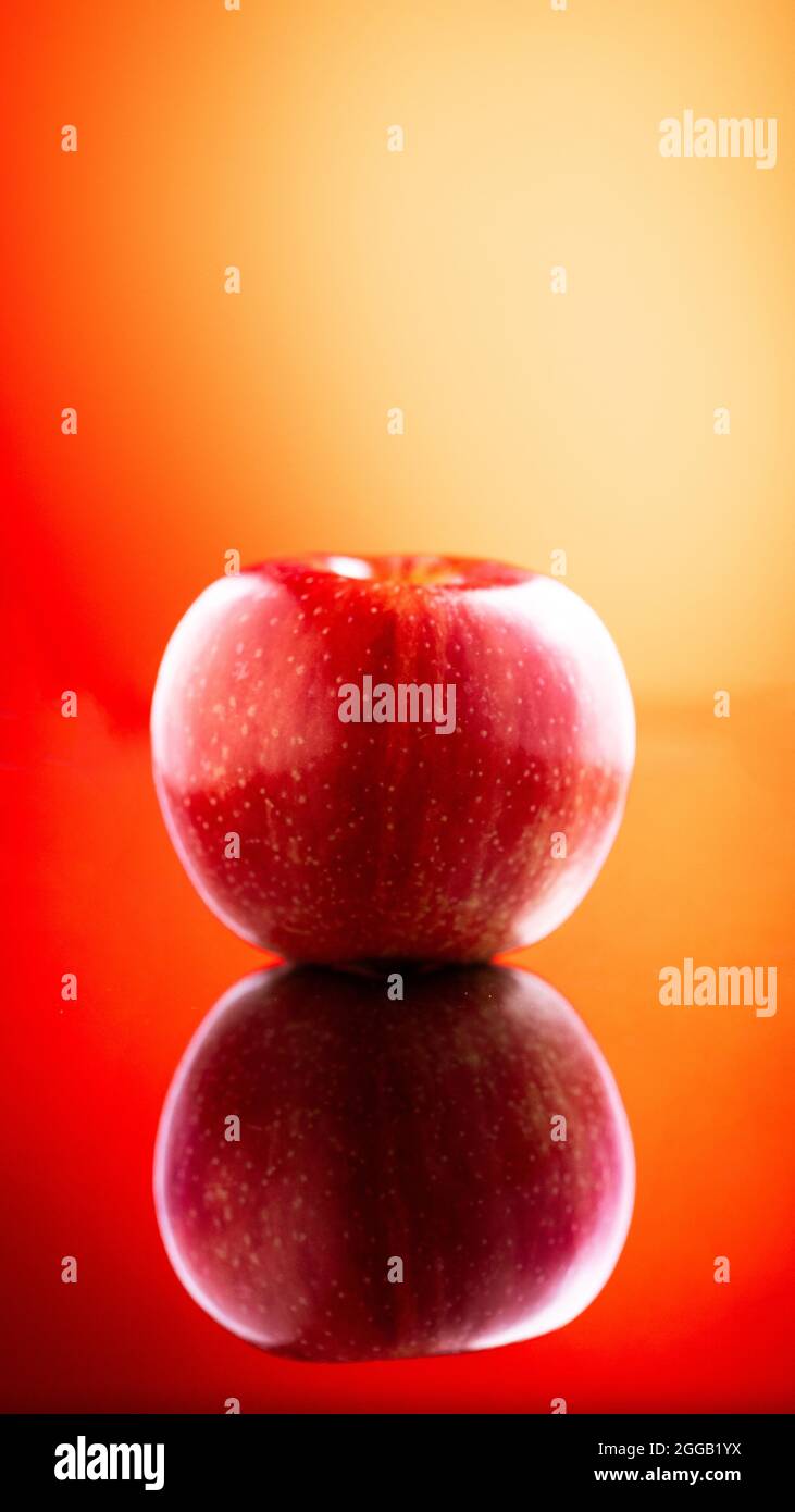 Large fresh red apple on red background gala schnico brookfield mema