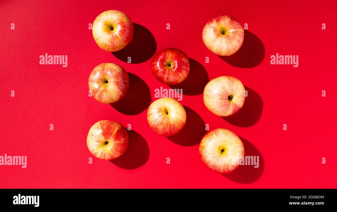 Large fresh red apple on red background gala schnico brookfield mema
