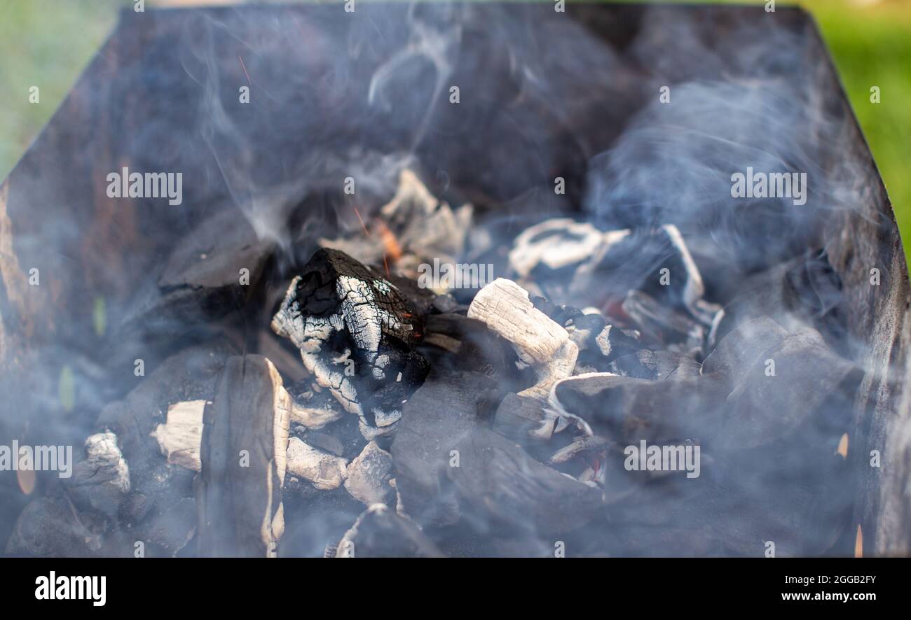 The firewood in the grill burns with a bright orange flame of fire Stock Photo Alamy