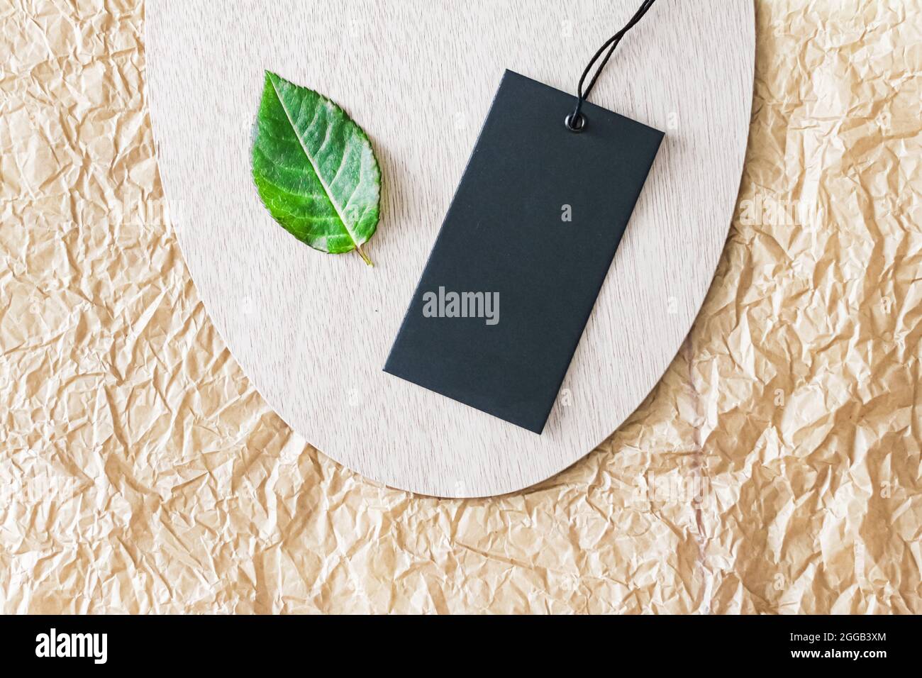 Clothing tag and green leaf as eco-friendly flatlay background