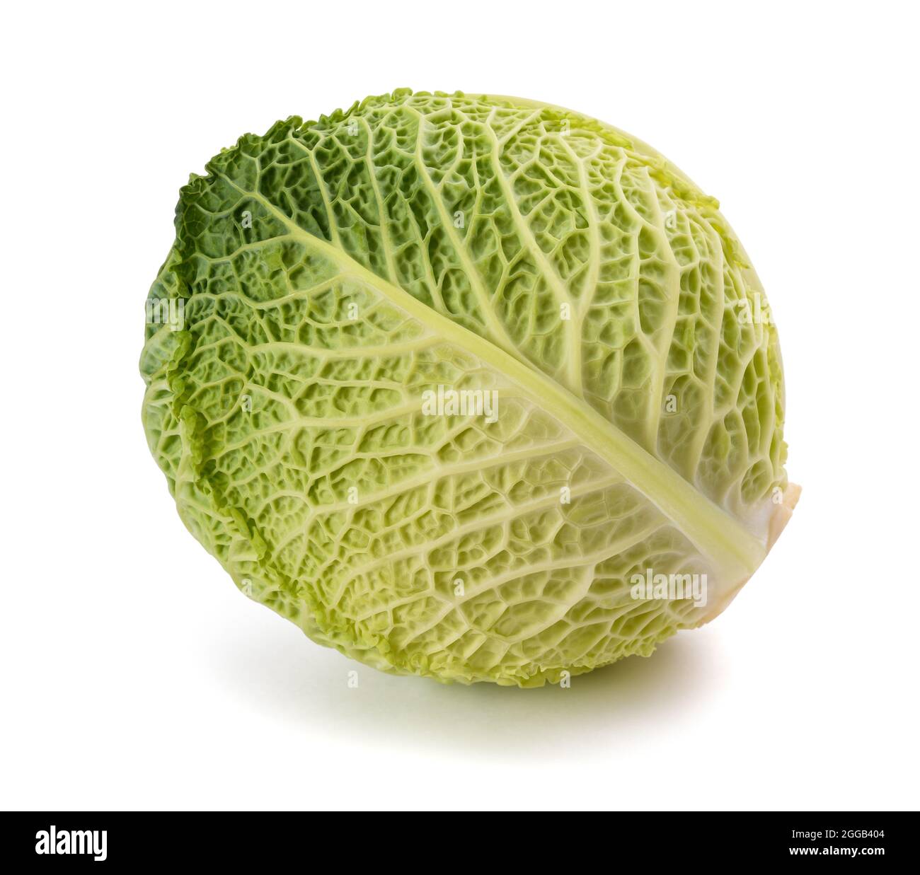Fresh savoy cabbage isolated on white background Stock Photo