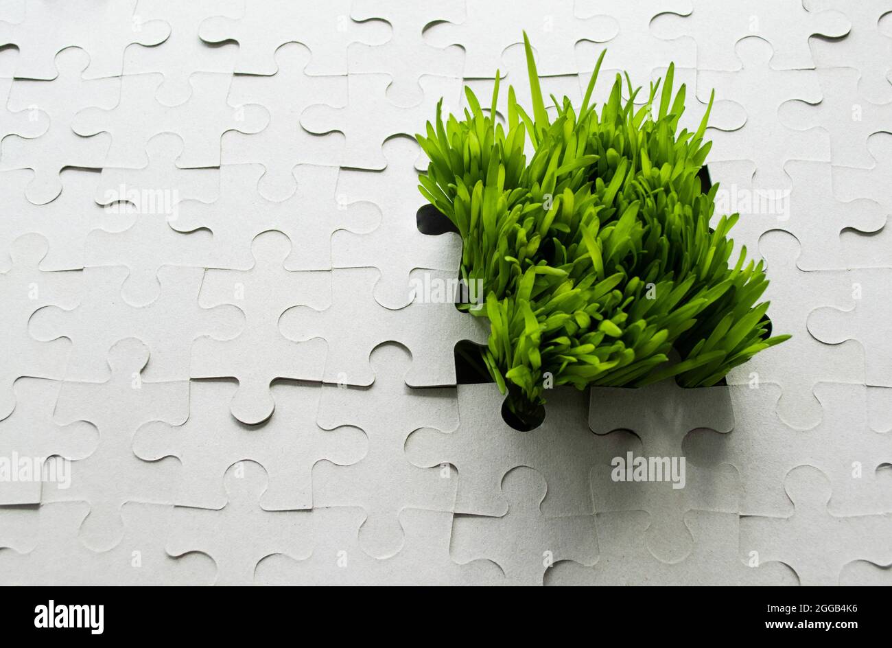 Background of the cardboard puzzle without pattern. Bright green grass grows through the hole, as if breaking through obstacles. Copy space. Stock Photo