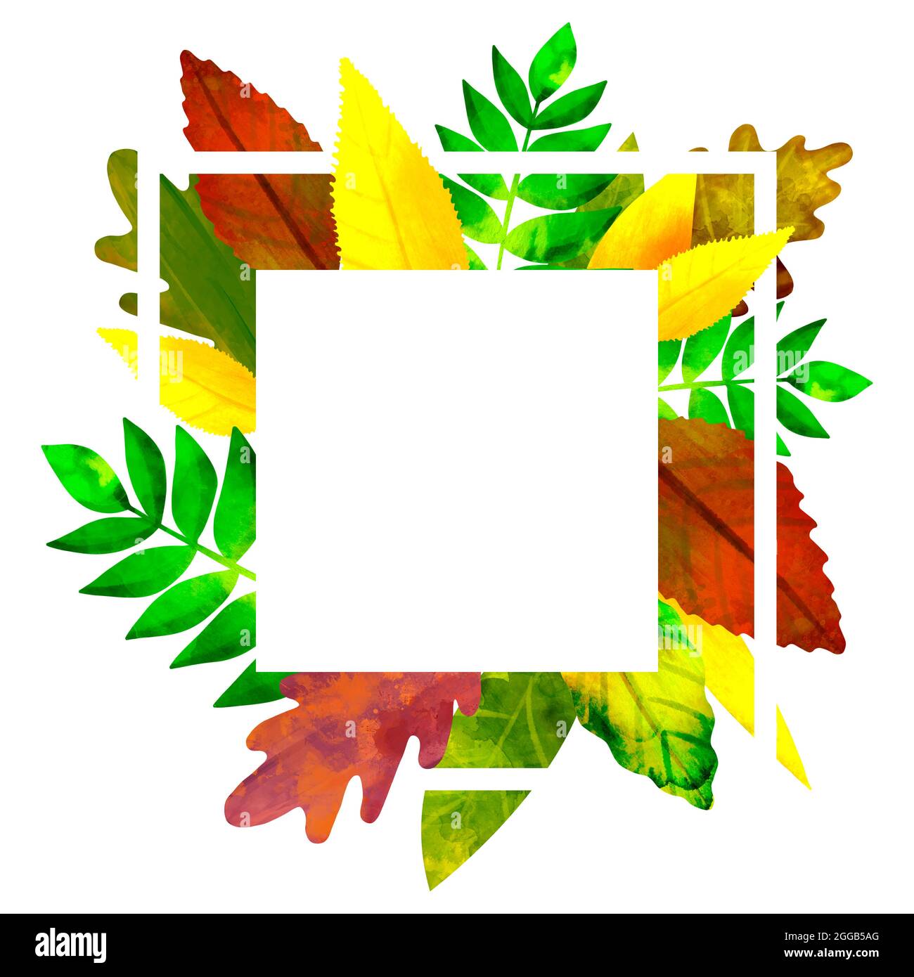 Autumn frame watercolor illustration with multicolored leaves isolated ...