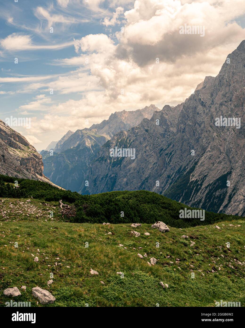 View into the Reintal valley in the Bavarian Alps. Stock Photo