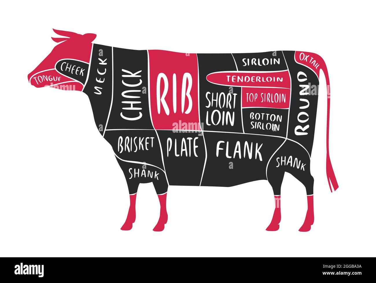 Cut of beef. Butcher diagram and scheme. Cow vintage typographic vector illustration Stock Vector