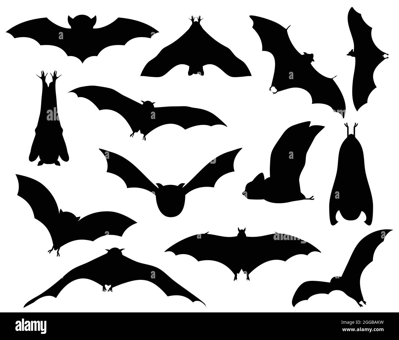 Bat collection vector illustration isolated on white background. Bat ...