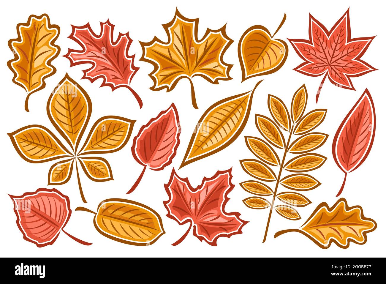 Vector set of Autumn Leaves, lot collection of cut out illustrations autumnal dried leaf for herbarium, group of cartoon design orange rowan sprig and Stock Vector