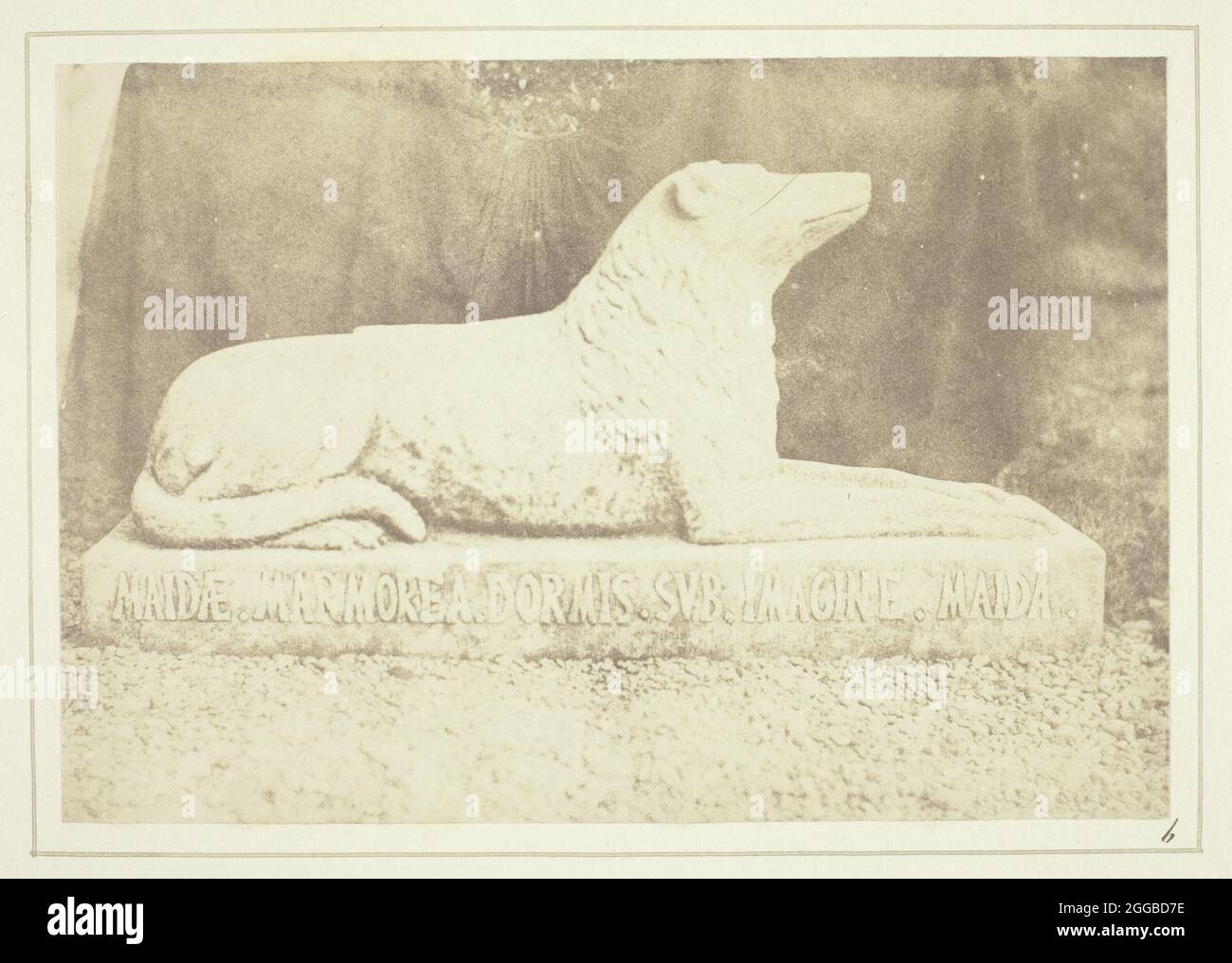 Effigy of Sir W. Scott's favourite dog Maida, by the side of the hall door at Abbotsford, 1844. A work made of salted paper print, plate vi from the album &quot;sun pictures in scotland&quot; (1845). Stock Photo