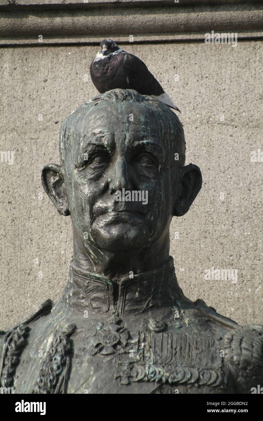 Close-up of a pigeon seated on the bust of Andrew Browne Cunningham, Trafalgar Square, London, UK Stock Photo