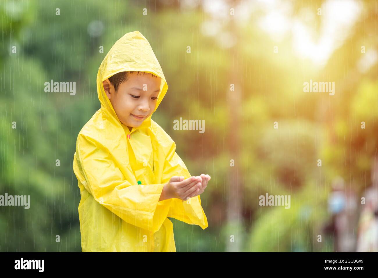 A boy wearing a yellow raincoat in a public park. Happy Asian little child having fun playing with the raindrops. A boy enjoying rainfall. Stock Photo