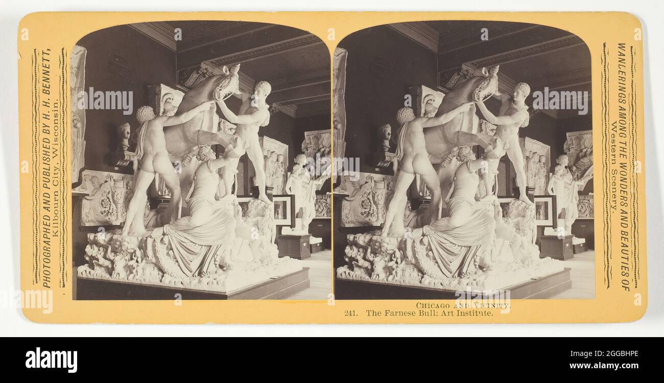 The Farnese Bull; Art Institute, 1893. Albumen print, stereo, from the series &quot;Chicago and Vicinity&quot;. Stock Photo