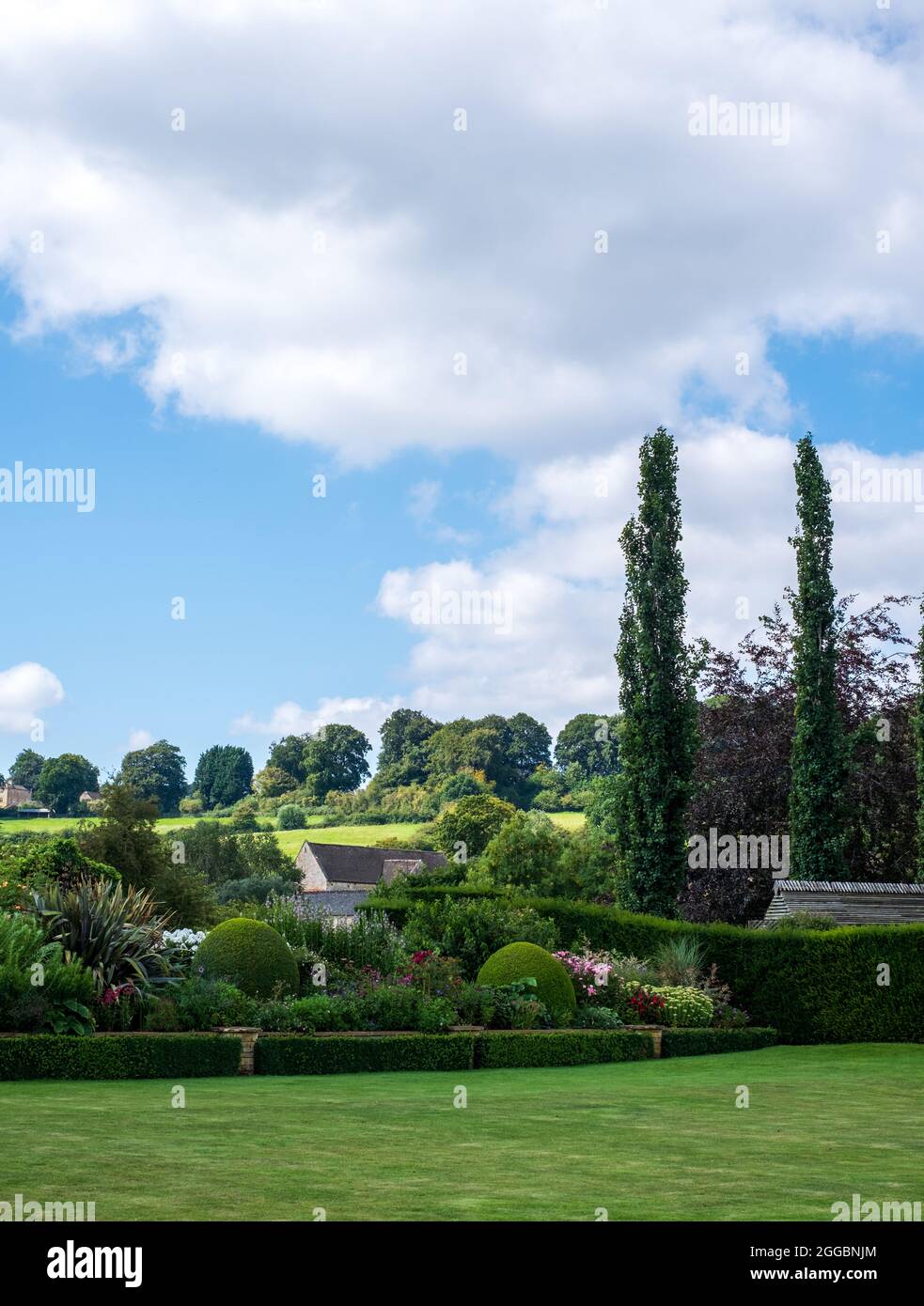 Rural view of the undulating Cotswolds countryside, with Cypress trees, taken near Bourton-on-the-Hill, Gloucestershire in England. Stock Photo