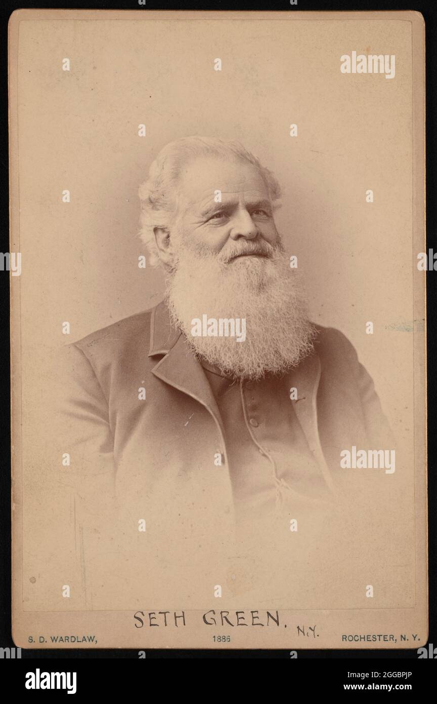 Portrait of Seth Green (1817-1888), 1886. Stock Photo