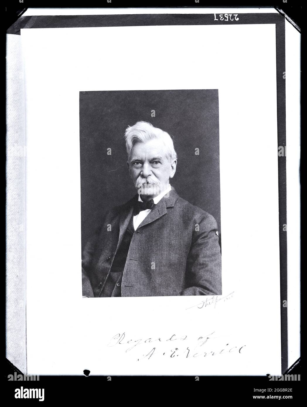 Portrait of Addison Emery Verrill (1839-1926), 1910s. Zoologist. Stock Photo