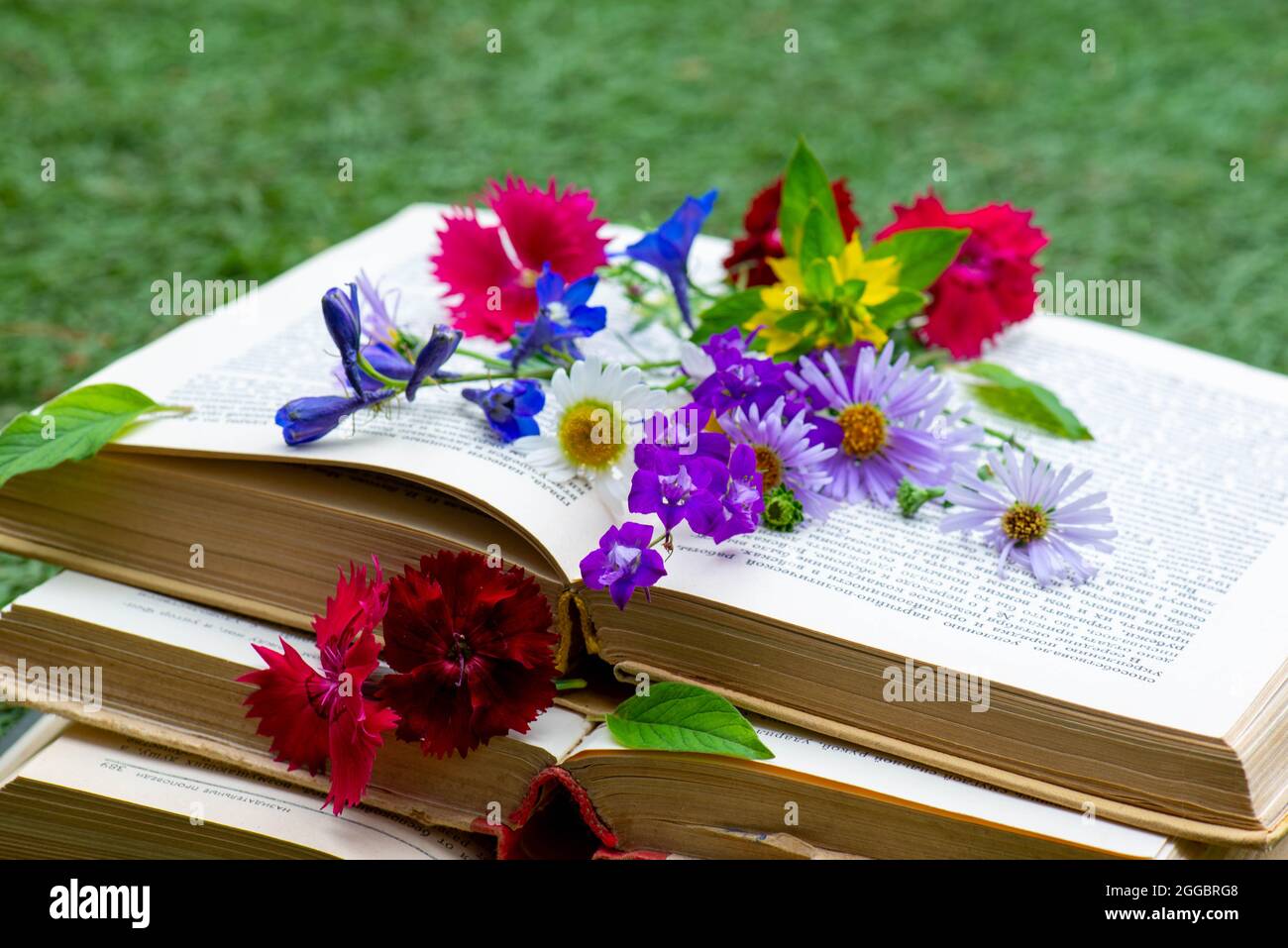 one book with flowers in the meadow Stock Photo