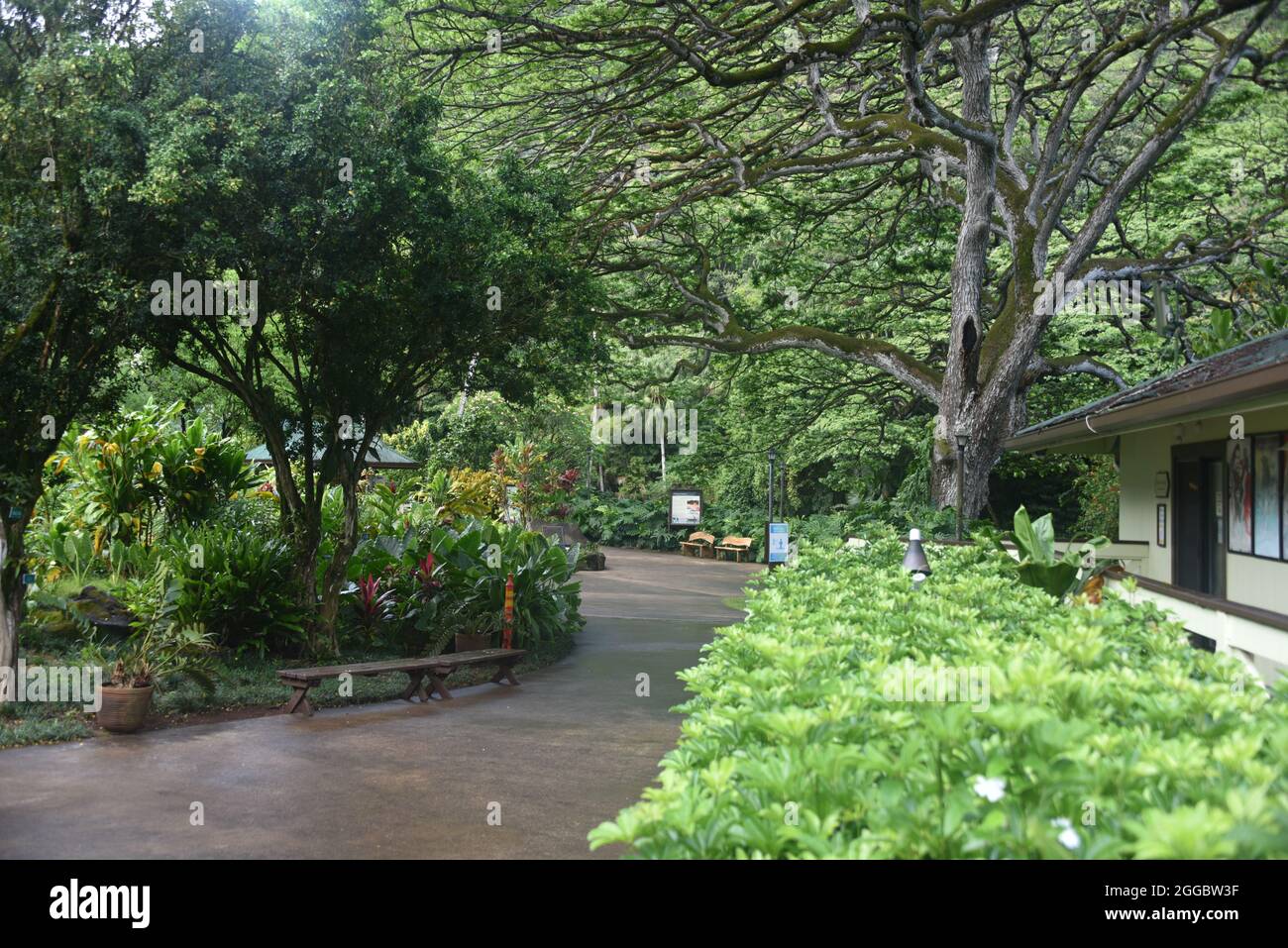 Oahu, HI U.S.A. 6/4&7/2021. Waimea Valley Visitors Center. Waimea