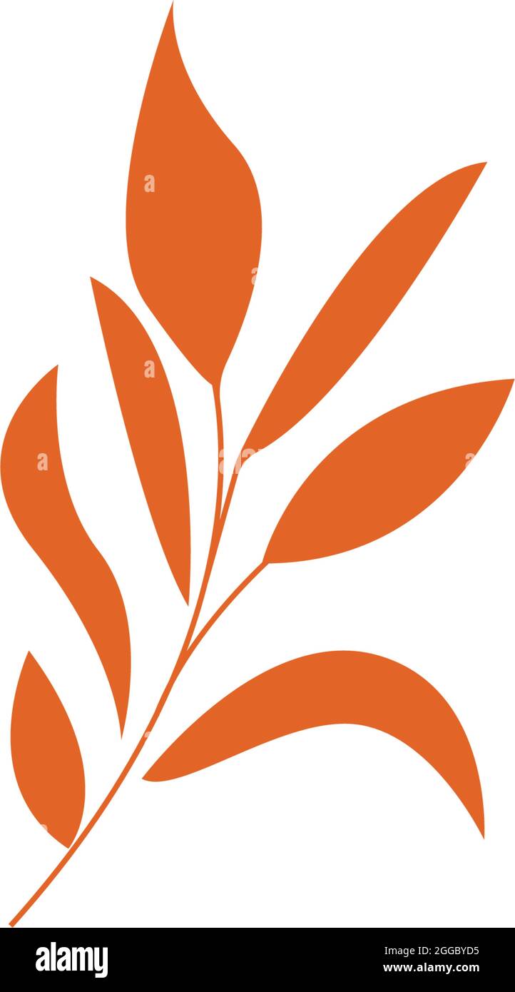 Autumn leaves icon flat design template vector Stock Vector