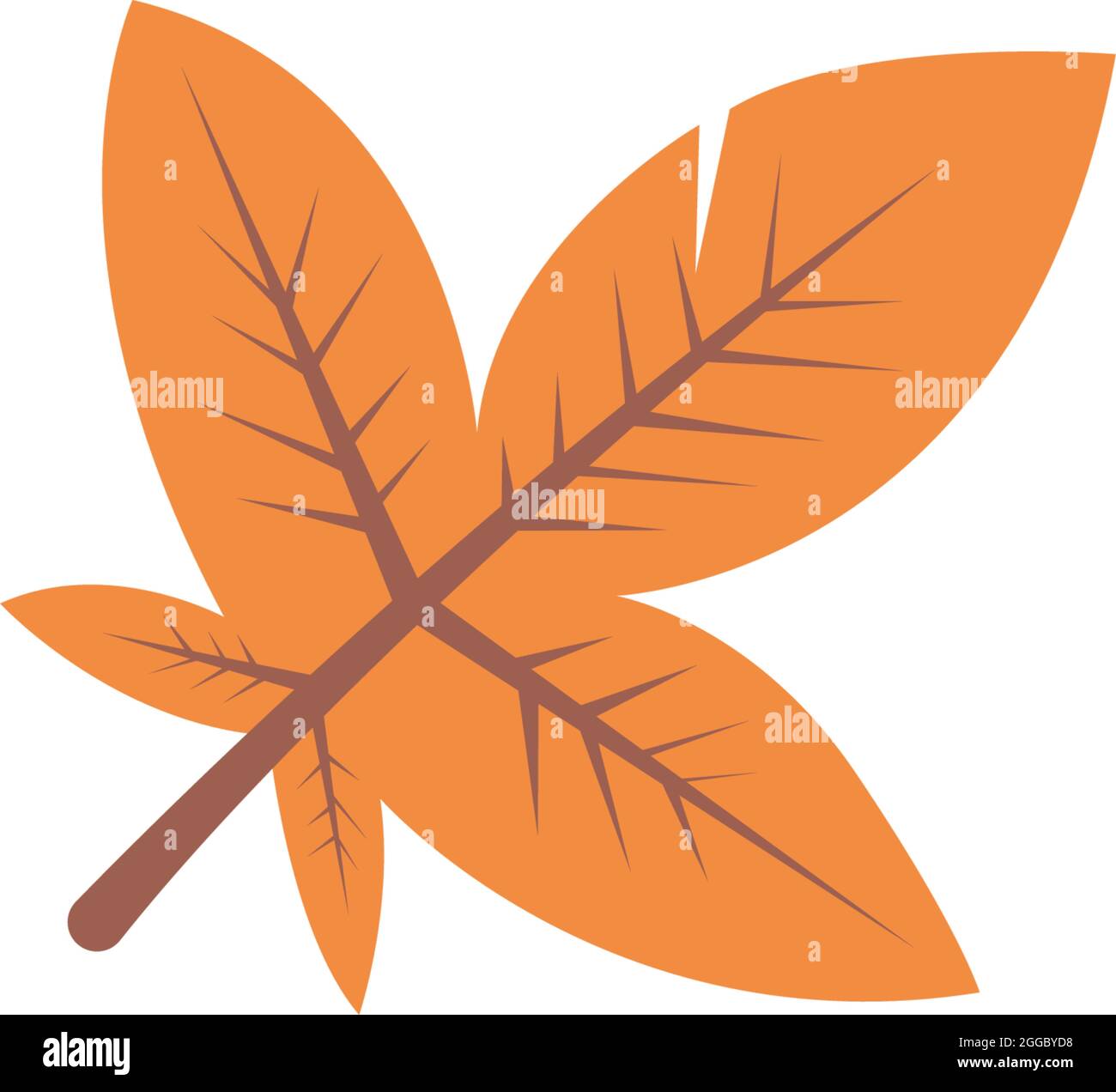 Autumn leaves icon flat design template vector Stock Vector Image & Art ...