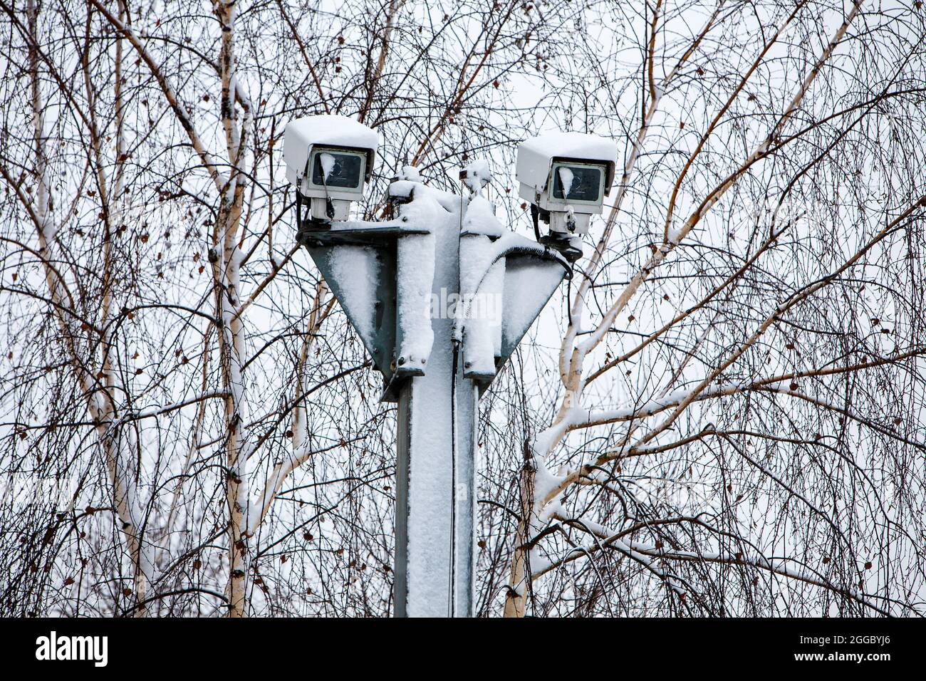 Snow covered security camera pair on high pole in front of trees Stock