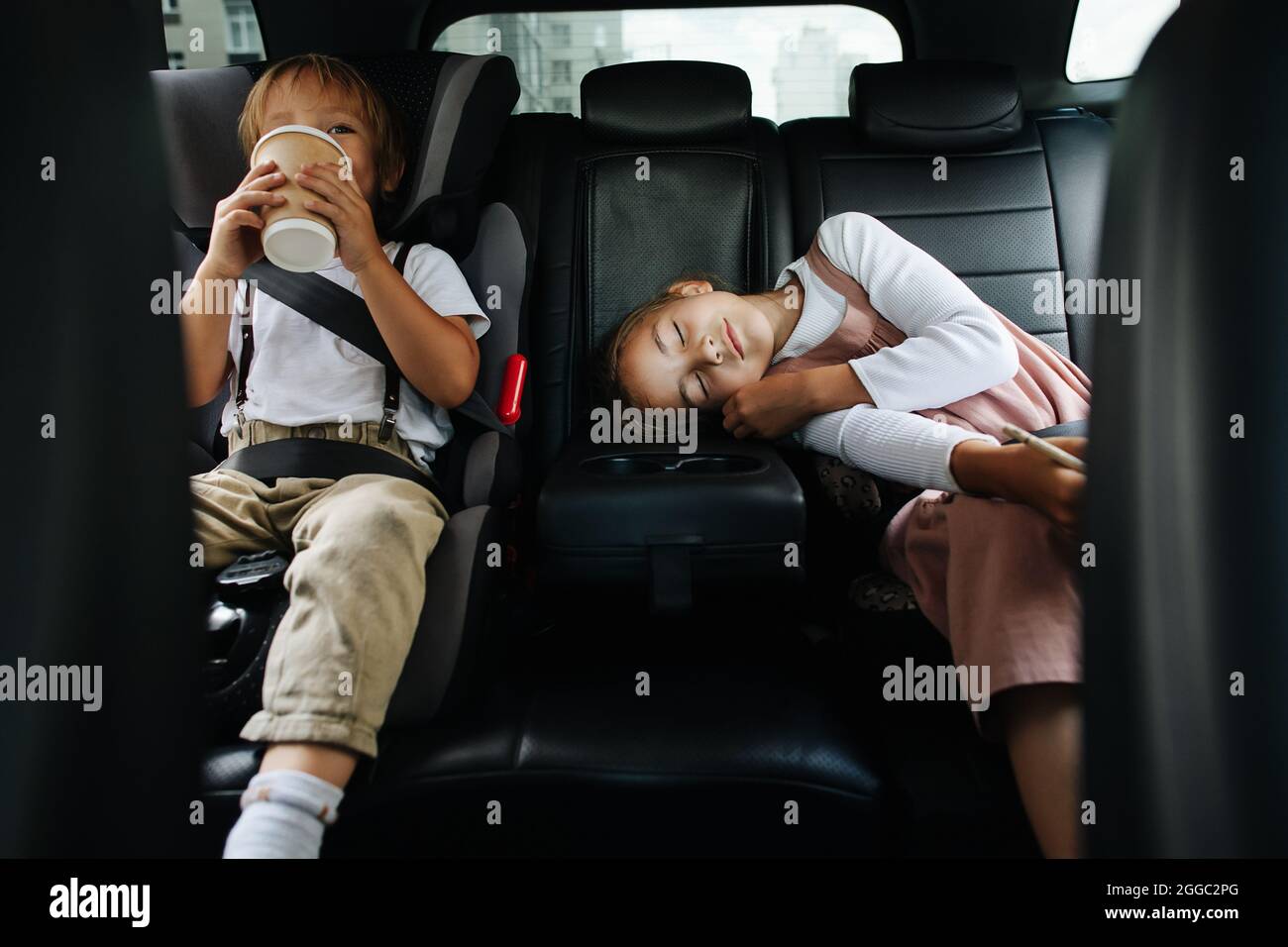 Bored siblings riding on a back seat in a car. View from inside salon. Boy is drinking from plastic cup, girl is napping. Stock Photo