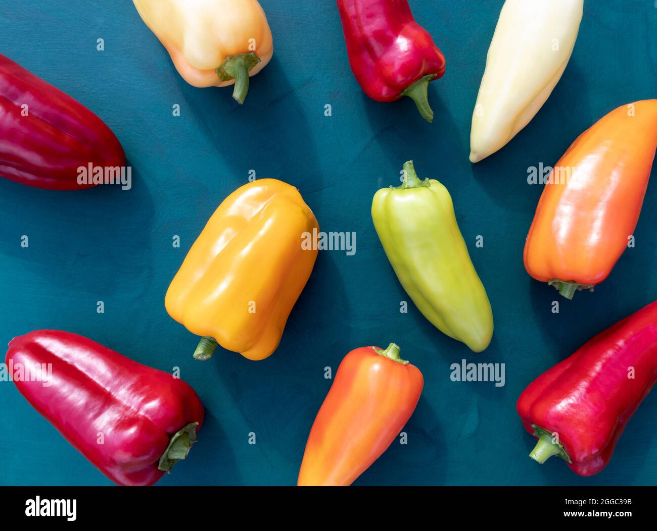Colorful sweet peppers on a green background. A bright poster Stock ...