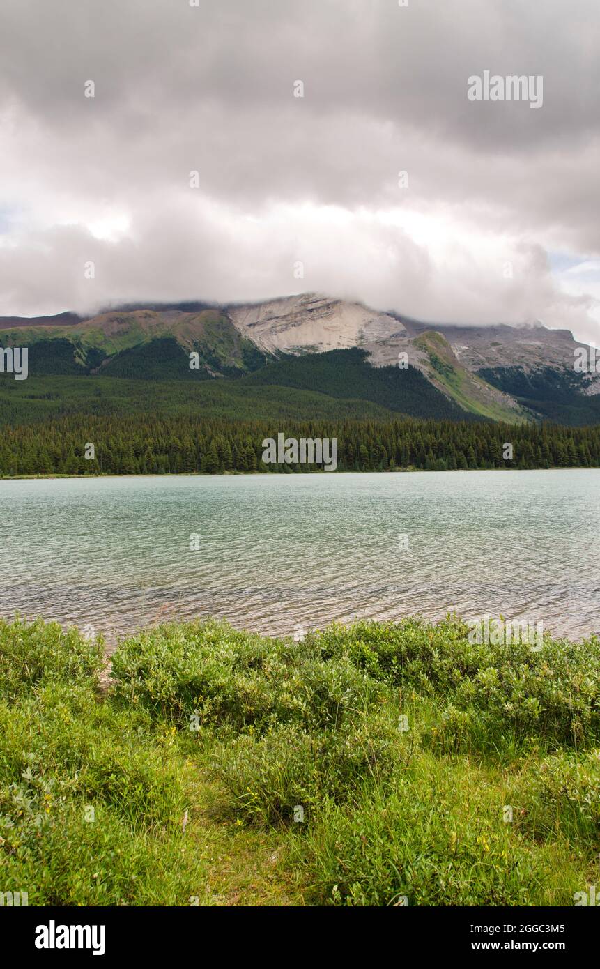 maligne-lake-in-cloudy-day-in-summer-in-jasper-in-banff-national-park