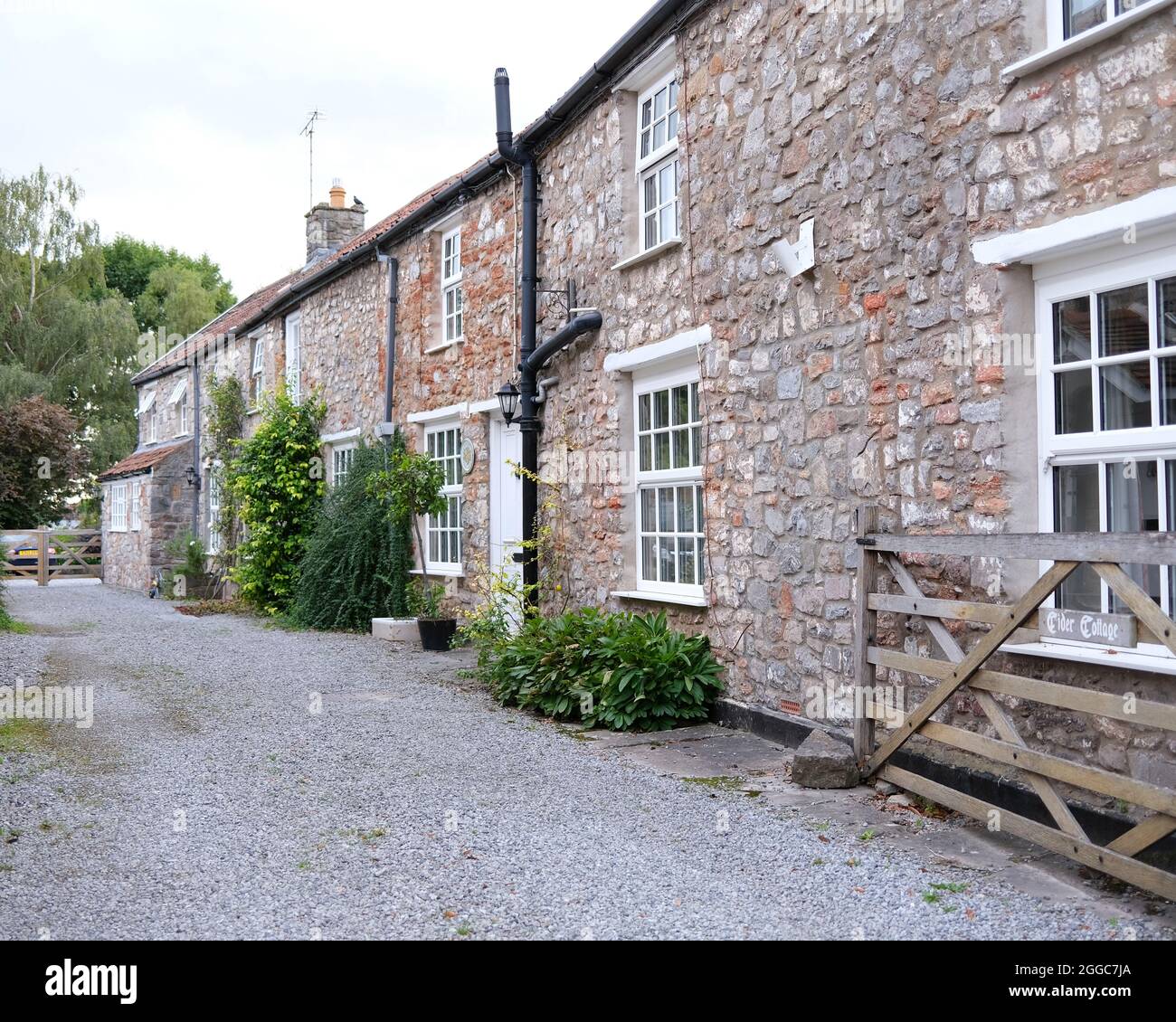 August 2021 - Row of old styled cottage in the village Cheddar Somerset, UK. Stock Photo