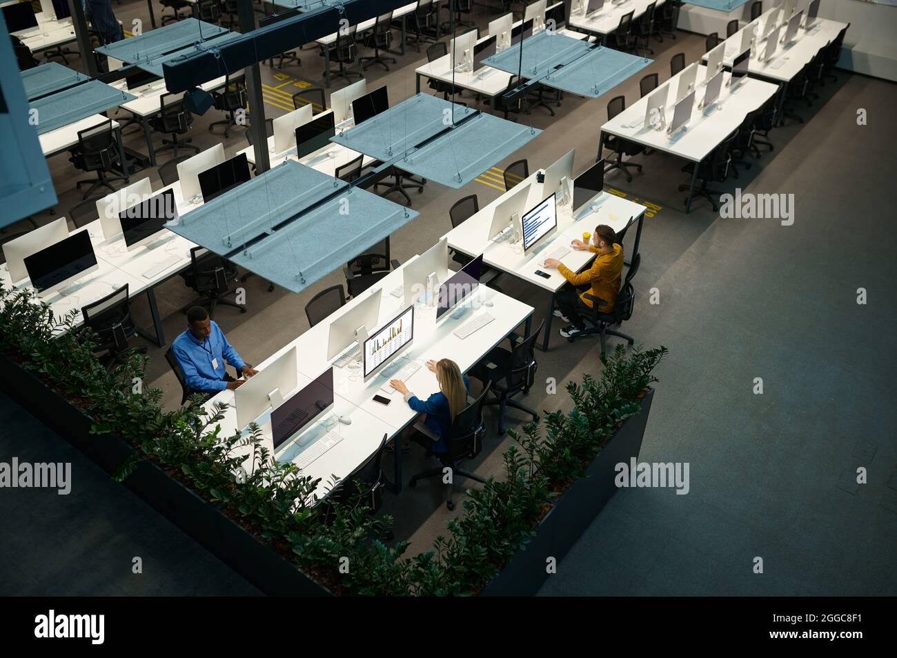 Managers works on computers in IT office, top view Stock Photo