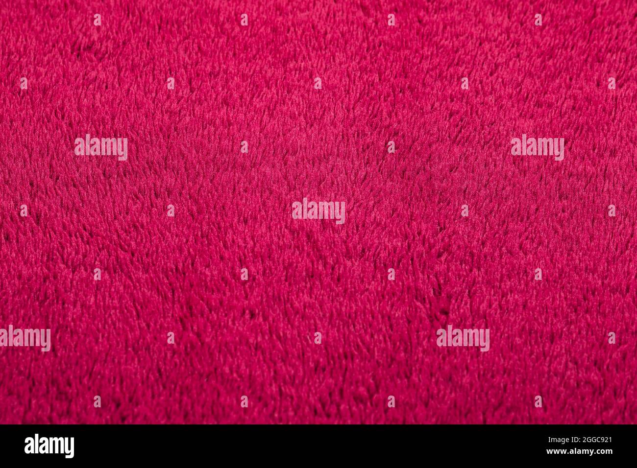 Closeup shot detail pink hi-res stock photography and images - Alamy
