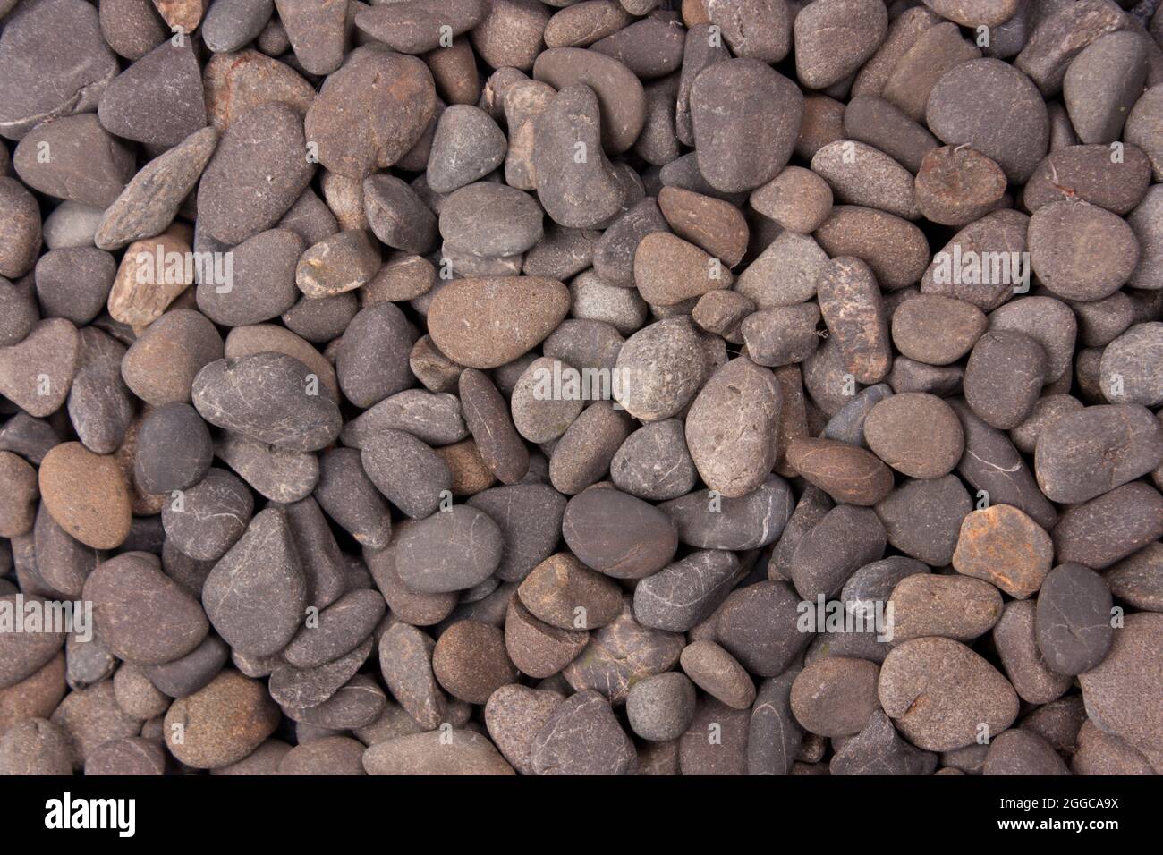 Small pebbles background Stock Photo